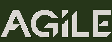 agilephysioclinic.com